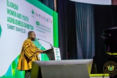 EliGreen Women and Youth Agribusiness Exhibition Summit (EWAYES 25).