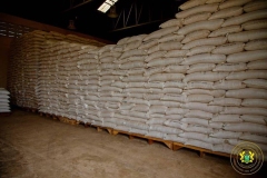 BADU-STORAGE-FACILITY